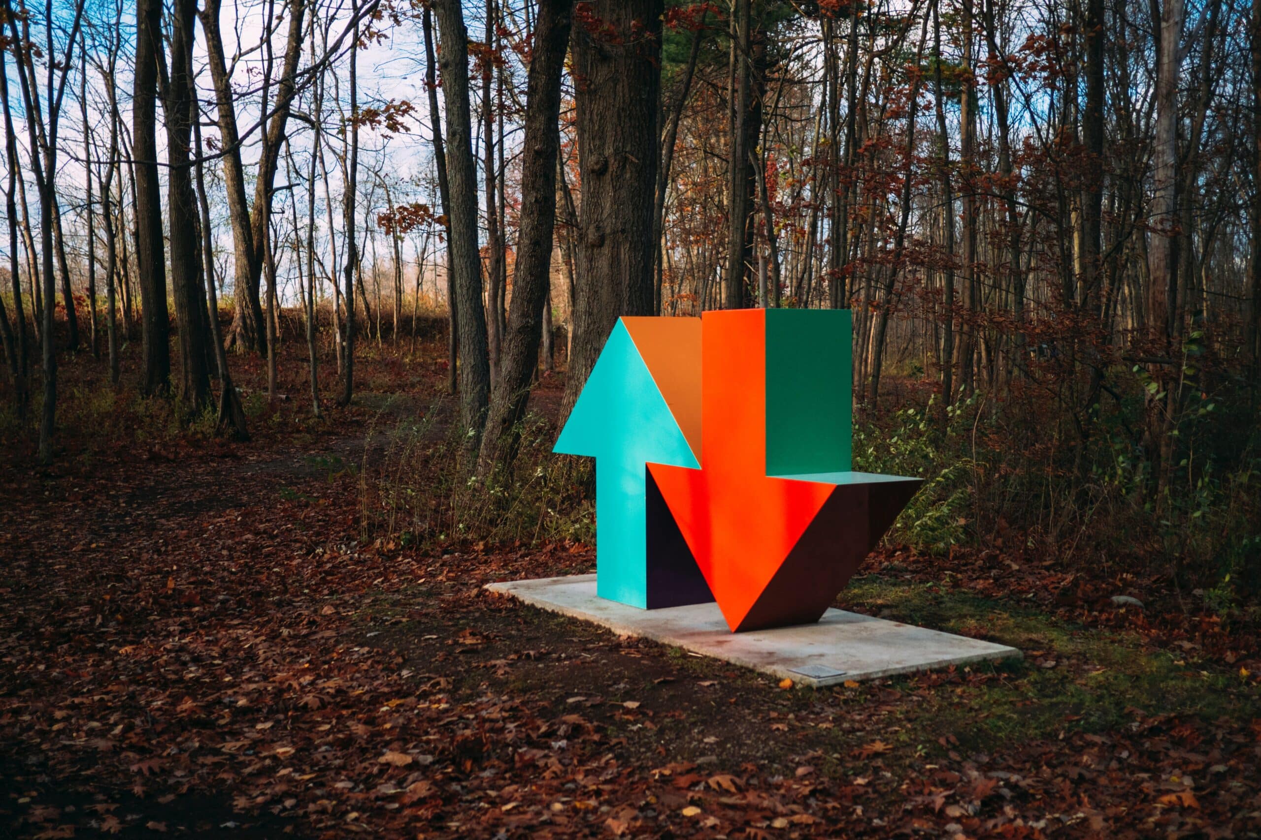 Blue arrow pointing upward next to a red arrow pointing downward in the woods